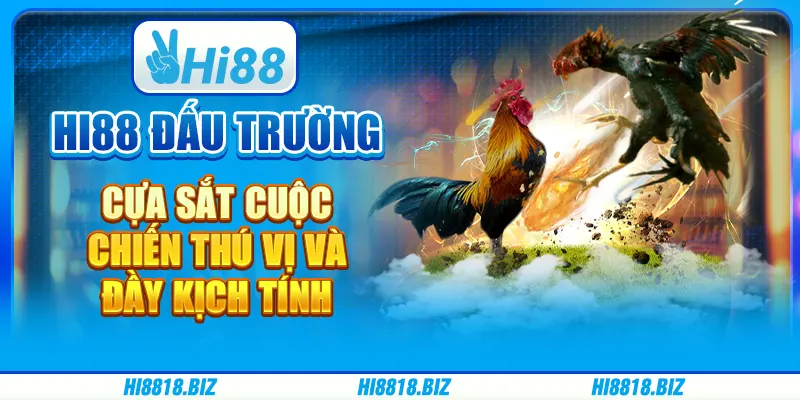 Hi88 Đấu Trường Cựa Sắt: Cuộc Chiến Thú Vị Và Đầy Kịch Tính