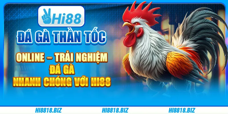 Đá gà thần tốc online – Trải nghiệm đá gà nhanh chóng với Hi88