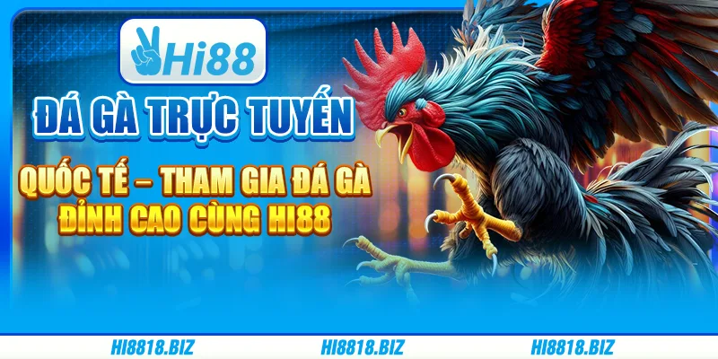 Đá Gà Trực Tuyến Quốc Tế – Tham Gia Đá Gà Đỉnh Cao Cùng Hi88