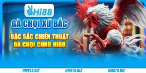 Gà Chọi Xứ Bắc – Đặc sắc chiến thuật gà chọi cùng Hi88