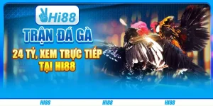 Trận Đá Gà 24 Tỷ, Xem Trực Tiếp Tại Hi88