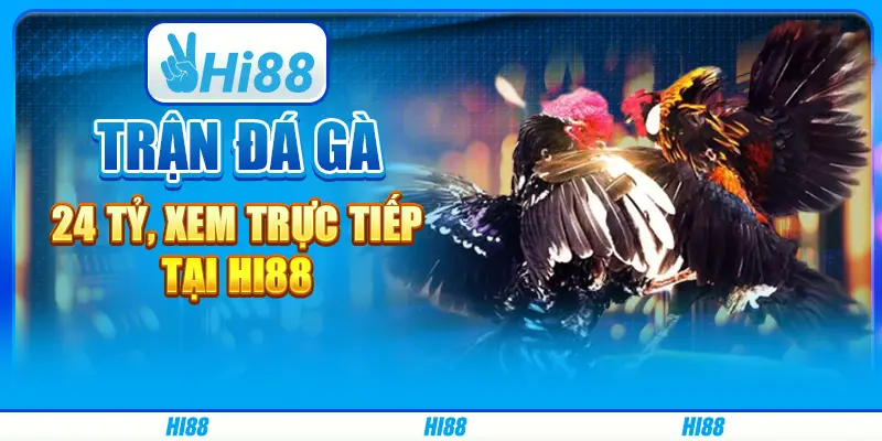 Trận Đá Gà 24 Tỷ, Xem Trực Tiếp Tại Hi88