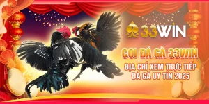 Coi Đá Gà 33WIN - Địa Chỉ Xem Trực Tiếp Đá Gà Uy Tín 2025